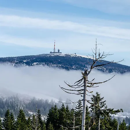 아파트 Harz Mit Elan