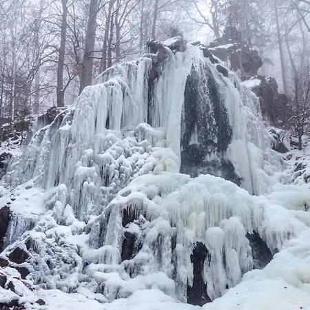 Harz Mit Elan 아파트 바트하르추부르크