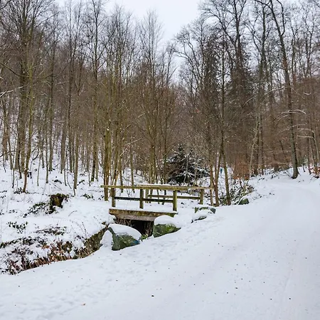 Harz Mit Elan 아파트 *
