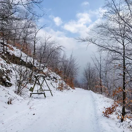 아파트 Harz Mit Elan *
